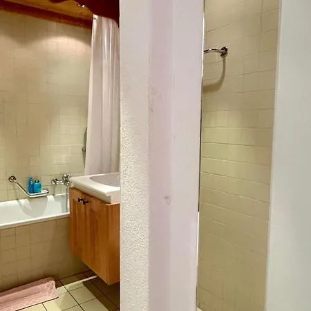 Swiss Alps Delight-cozy High Style Luxurious Flat *