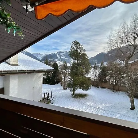 Swiss Alps Delight-cozy High Style Luxurious Flat Gstaad