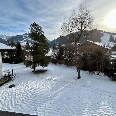 Swiss Alps Delight-cozy High Style Luxurious Flat Lejlighed