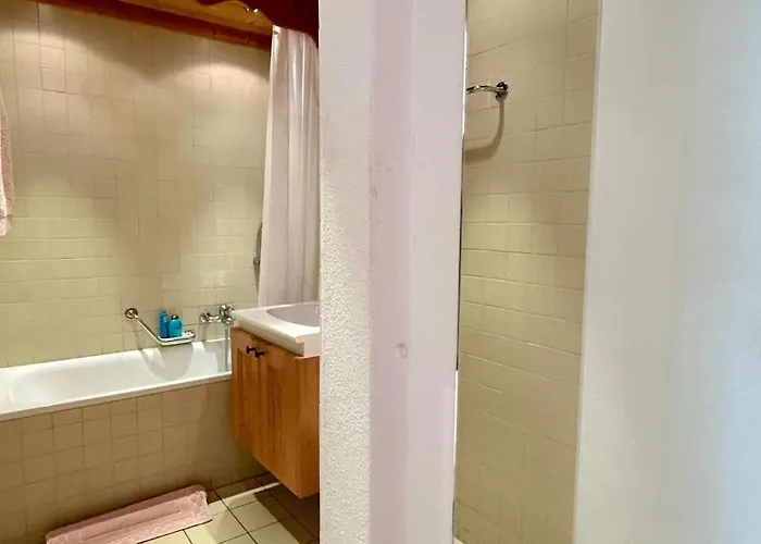 Swiss Alps Delight-cozy High Style Luxurious Flat *